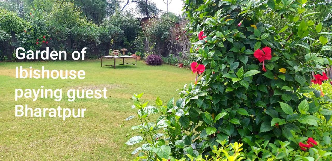 Ibishouse Farm Stay Bharatpur Exterior foto