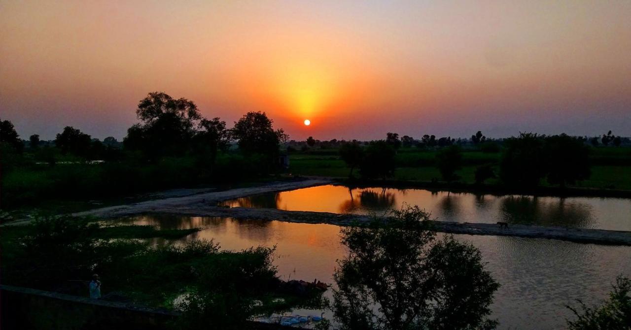 Ibishouse Farm Stay Bharatpur Exterior foto