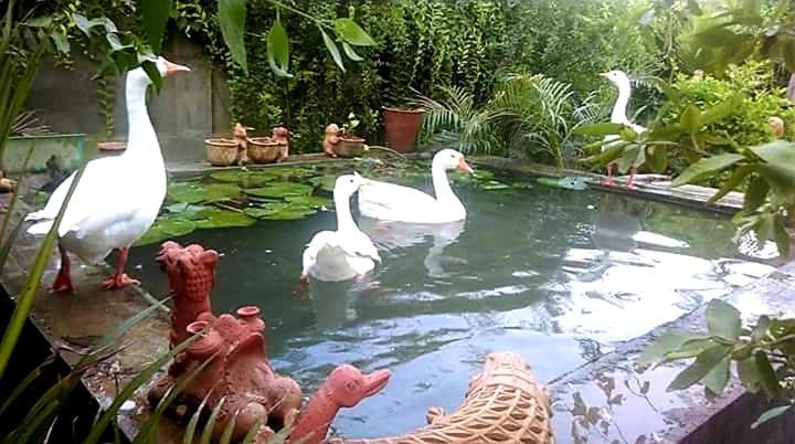 Ibishouse Farm Stay Bharatpur Exterior foto